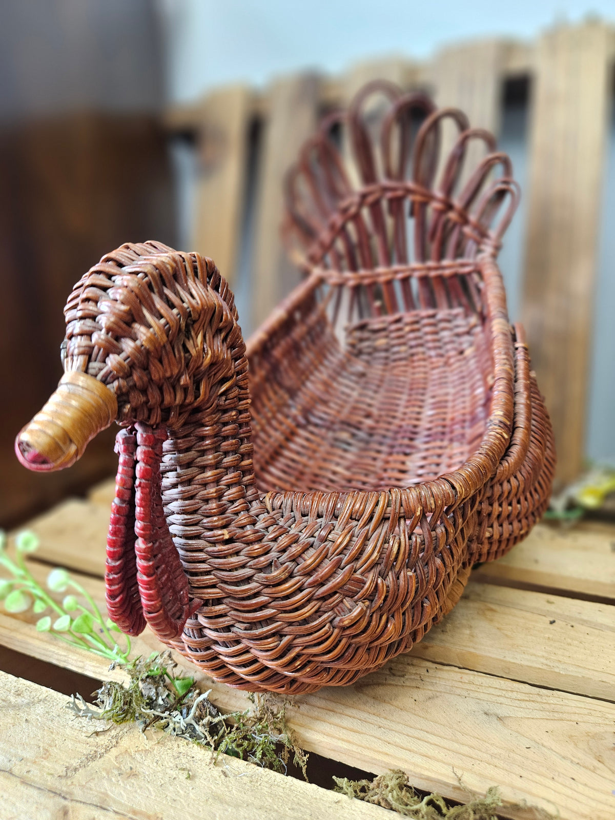 The Harvest Table Box