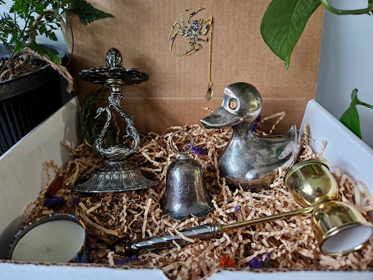 The Collector's Nest Box