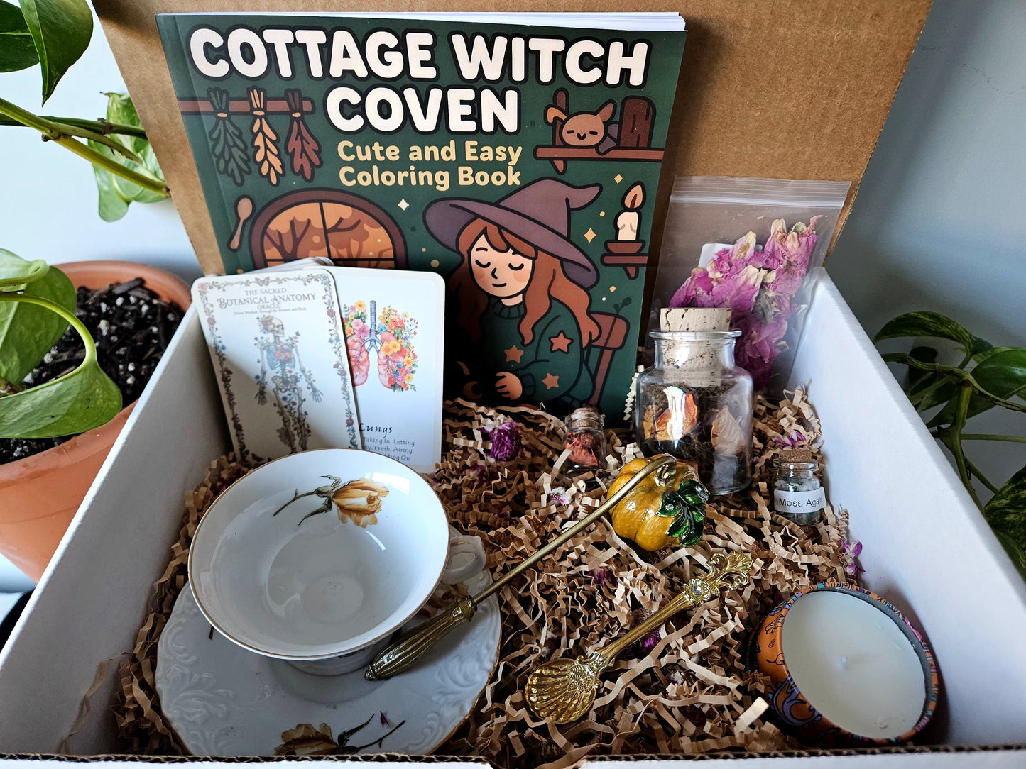 The Cottage Witch Box
